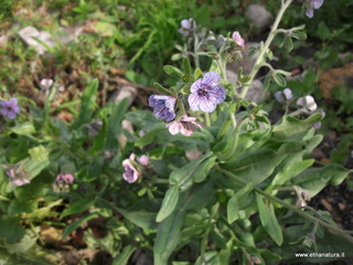 zzena-11-03-2013 09-12-35
